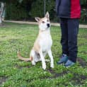 Photo of Indi