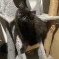 Photo of Sooty