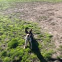 Photo of Layla