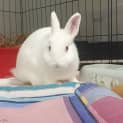 Photo of Lil