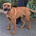 Photo of Maverick