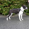 Photo of Aspen