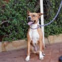 Photo of Marlee