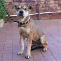 Photo of Meg