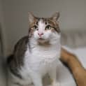 Photo of Hamish