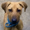 Photo of Remi
