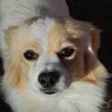 Photo of Tommy Jack