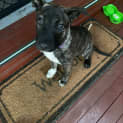 Photo of Ella