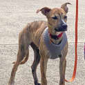 Photo of Barkly