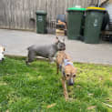 Photo of Barkly