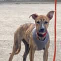Photo of Barkly
