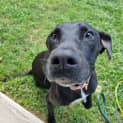 Photo of Molly