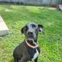 Photo of Molly
