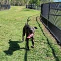 Photo of Arley