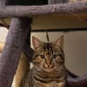 Photo of Birdie