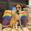 Photo of Etzel