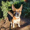 Photo of Allyra
