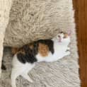 Photo of Lela