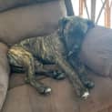 Photo of Sleepy