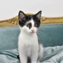 Photo of Rowena