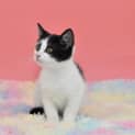 Photo of Rowena