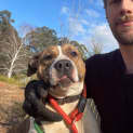 Photo of Gracie
