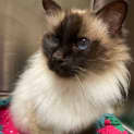 Photo of Tuska