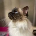 Photo of Tuska