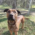 Photo of Coby