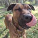Photo of Coby