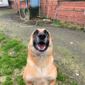 Photo of Espen