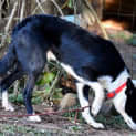 Photo of Kody