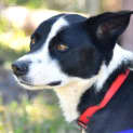 Photo of Kody