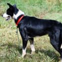Photo of Kody