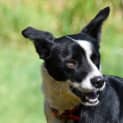 Photo of Kody