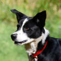 Photo of Kody