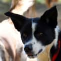 Photo of Kody