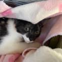 Photo of Matilda