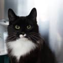 Photo of Wilbert