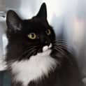 Photo of Wilbert