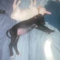 Photo of Jarvis