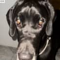 Photo of Lulu
