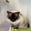 Photo of Tuska