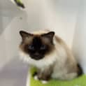 Photo of Tuska