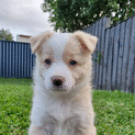 Photo of Hallie