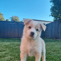 Photo of Hallie