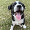 Photo of Korra