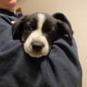 Photo of Korra