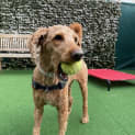 Photo of Alan