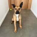 Photo of Jax
